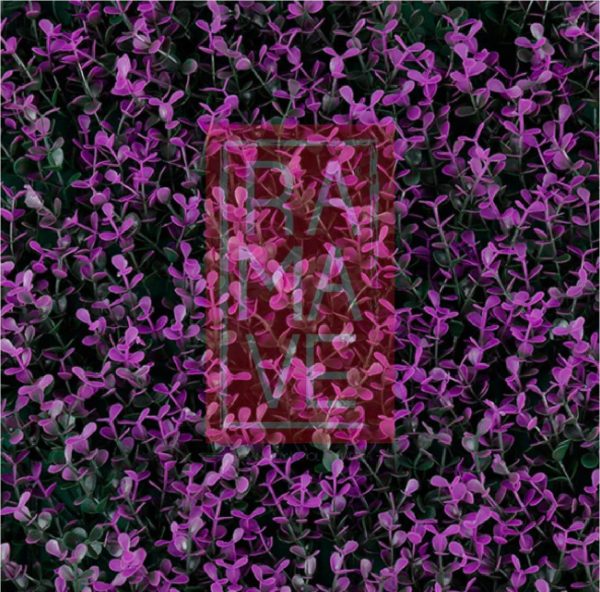 Terza Purple Boxus