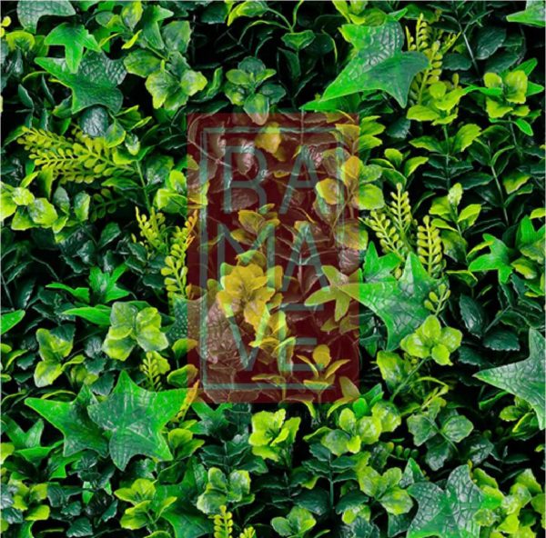 Terza Rainforest