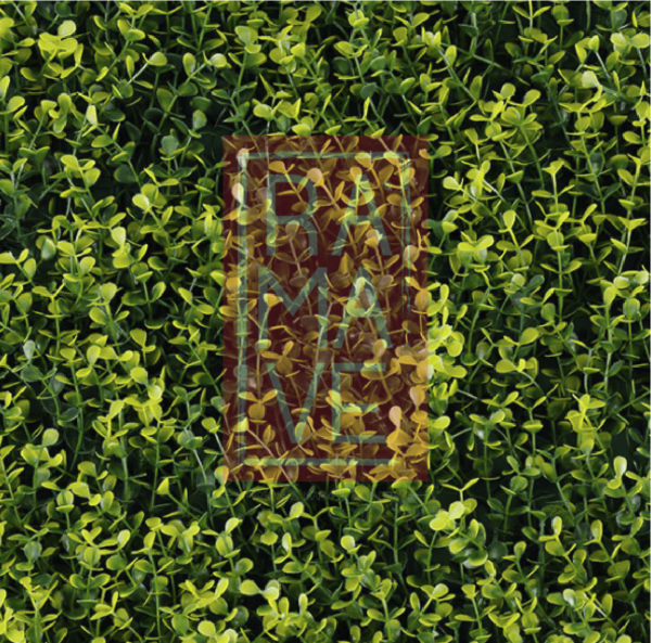 Terza Yellow Boxus